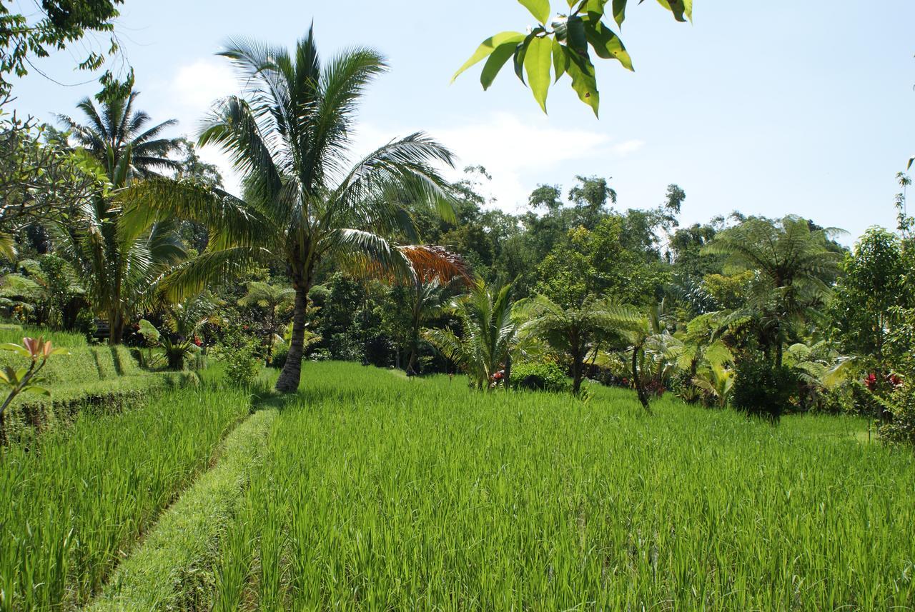Prana Dewi Mountain Resort Jatiluwih Exterior foto