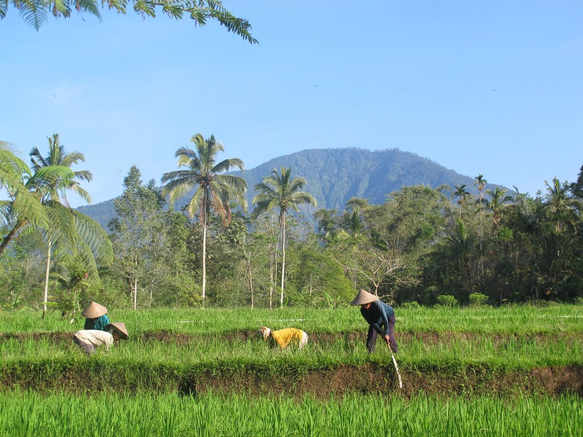 Prana Dewi Mountain Resort Jatiluwih Exterior foto