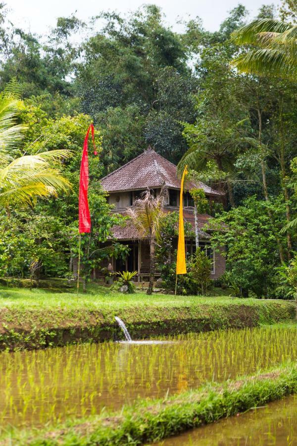 Prana Dewi Mountain Resort Jatiluwih Exterior foto